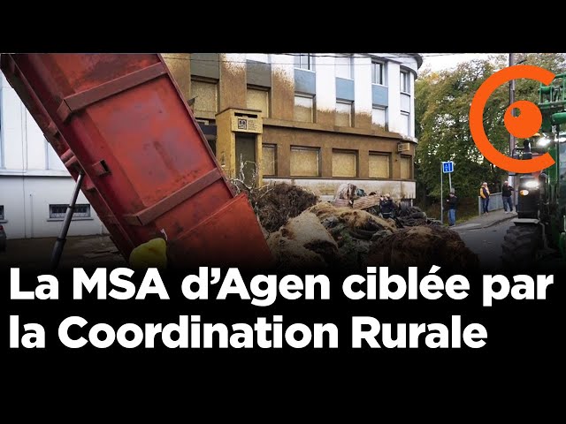 La MSA déçoit les agriculteurs : un système en crise